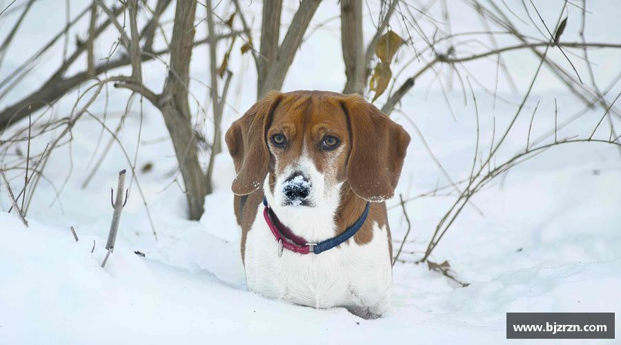 星空体育平台打破极限，挑战自我！